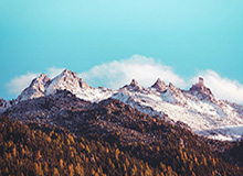 世界杯晋级规则-亚冠联赛球童带上新设备 防疫细化至比赛用球